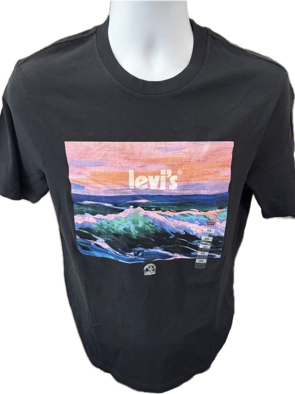 Levi’s Men’s XS California Ocean Wave Graphic Relaxed T-Shirt NWOT